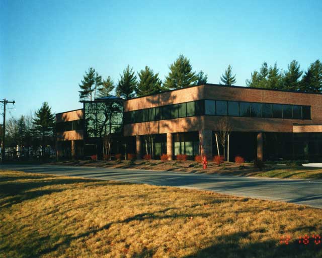Timken Bearings